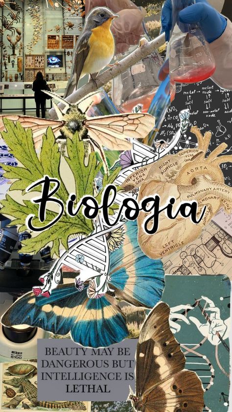 Cute Biology Wallpaper, Biology Projects, My Future Job, Future Jobs, Study Motivation Inspiration, Tumblr Wallpaper, Zoology, Graphic Design Posters, Study Motivation