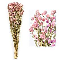 Globe Amaranth Flower, Amaranth Flower, Tall Vase Decor, Faux Branches, Gift Boxes Decoration, Globe Amaranth, Dried Lavender Flowers, Diy Arrangements, Diy Birds