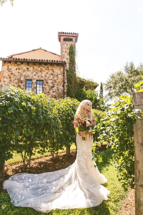 Vineyard Wedding Dress The Bride, Vineyard Wedding Photos, Wedding Boho, Wedding Robe, Wedding Top, Princess Wedding, Carrie Bradshaw, Wedding Film, Winery Weddings