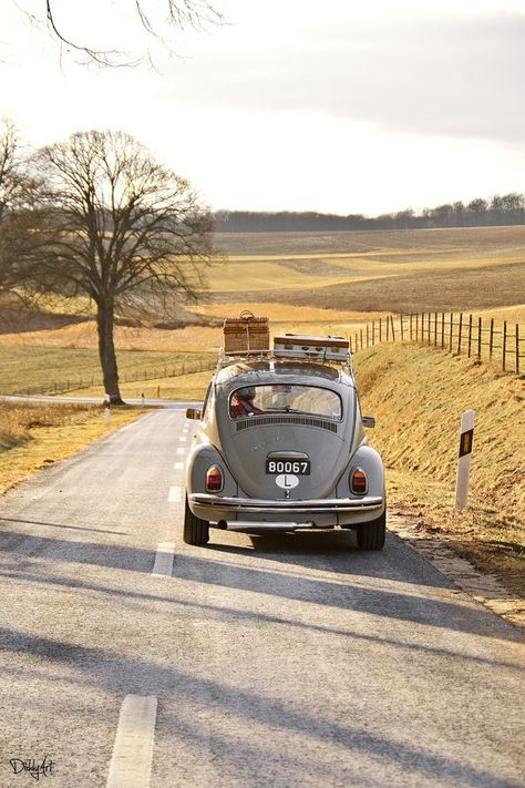 let's ride Drømme Liv, Lev Livet, Fotografi Vintage, Vw Vintage, Lukisan Cat Air, On The Road Again, Old Car, Vw Beetle, Green Gables