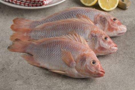 How To Season Tilapia Fish, Fresh Tilapia, Tilapia Oreganata, Fresh Fish Photography, Tilapia Farming, Raw Fish Photography, Tilapia Fish Farming, Raw Fish Photography Food Styling, Tilapia Fish