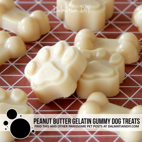 Peanut Butter Gelatin Gummy Dog Treats Jelly Dog Treats, Dog Gummies, Puppy Recipes, Melted Peanut Butter, Homemade Gummies, Pet Recipes, Pet Snacks, Animal Treats, Pet Treats Recipes