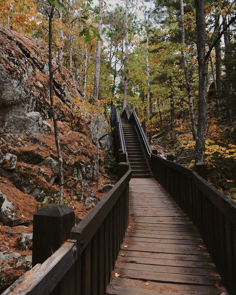 Top spots from our unforgettable trip to Michigan’s UP: 🌅 Presque Isle Park – serene lakeshore views and peaceful trails. 💦 Tahquamenon Falls – powerful and awe-inspiring, a must-see in the UP. 🏞️ Sugarloaf Mountain – the hike was worth every step for those panoramic views! 🚤 Pictured Rocks Cruise – sunset on the water with cliffs painted by nature itself. 🌲 Miners Falls – tucked away in the forest, the perfect hidden gem. #upperpeninsula #puremichigan #upmichigan #exploremichigan Hiking Michigan, Michigan Hiking, Cruise Sunset, Sugarloaf Mountain, Tahquamenon Falls, Pictured Rocks, Presque Isle, Upper Peninsula, Pure Michigan