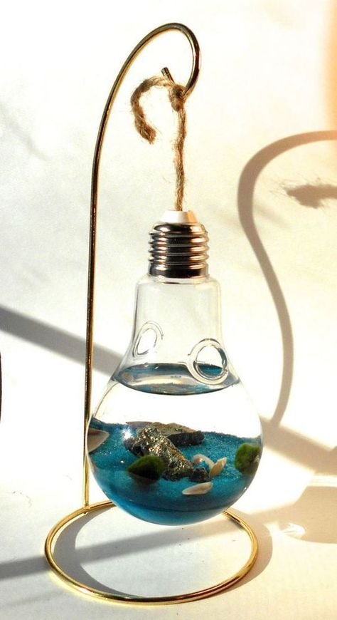 Wonderful diy decorative ideas from old bulbs | My desired home Marimo Terrarium, Recycled Light Bulbs, Diy Light Bulb, Light Bulb Art, Light Bulb Crafts, Decorative Ideas, Terrarium Diy, Fish Bowl, Diy Home Crafts