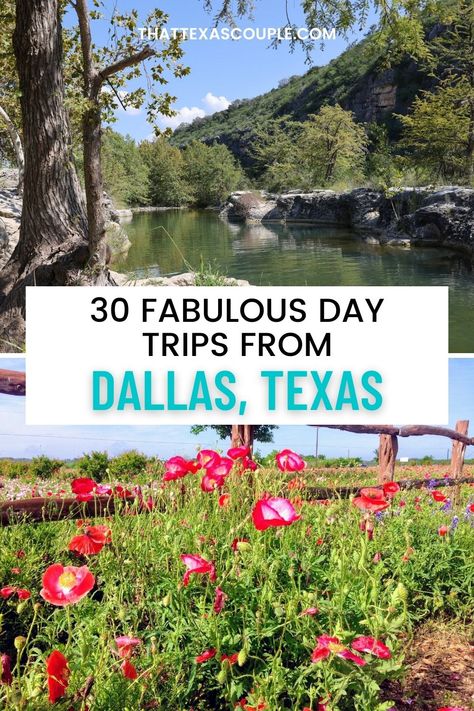 Looking for some fun day trips from Dallas? Then look no further. This post outlines 30 fun day trips from Dallas that are full of things to do. We have you covered with the Texas Hill Country, Texas coast, Oklahoma, North Texas, East Texas, West Texas and more! We have included Texas small town and city escapes in Texas, so there is something for everyone! Dallas day trips | Texas day trips | Day trips in Texas | getaways from Dallas | weekend getaways from Dallas | weekend trips from Dallas Texas Day Trips, Day Trips From Dallas, Dinosaur Valley State Park, Dallas Travel, Usa Travel Guide, Texas Travel, Travel Time, The Best Day, Fun Day