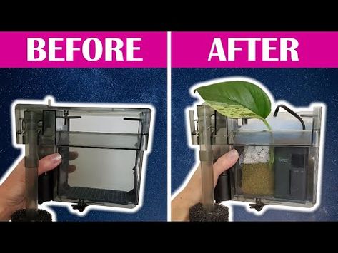 10 Hacks to Make the PERFECT Hang-on-Back Filter Fish Tank Terrarium, Fish Keeping, Diy Fish Tank, Aquarium Stand, Freshwater Aquarium Fish, Aquarium Filter, Diy Cans, Terraria, Diy Home Repair