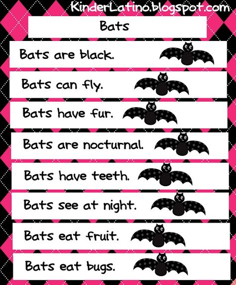 A free bat English anchor chart. Bats Kindergarten, Bat Lessons, Bats Activities, Bilingual Teaching, Bat Facts, Kindergarten Party, October Classroom, October School, Party Diy Decorations