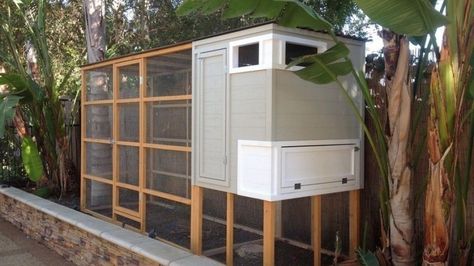 Houzz_ChickenCoop2 Easy Diy Chicken Coop, Chicken Coop Blueprints, Backyard Chicken Coop, Urban Chickens, Chicken Coop Run, Coop Design, Best Chicken Coop, Chicken Coop Designs, Chicken Garden