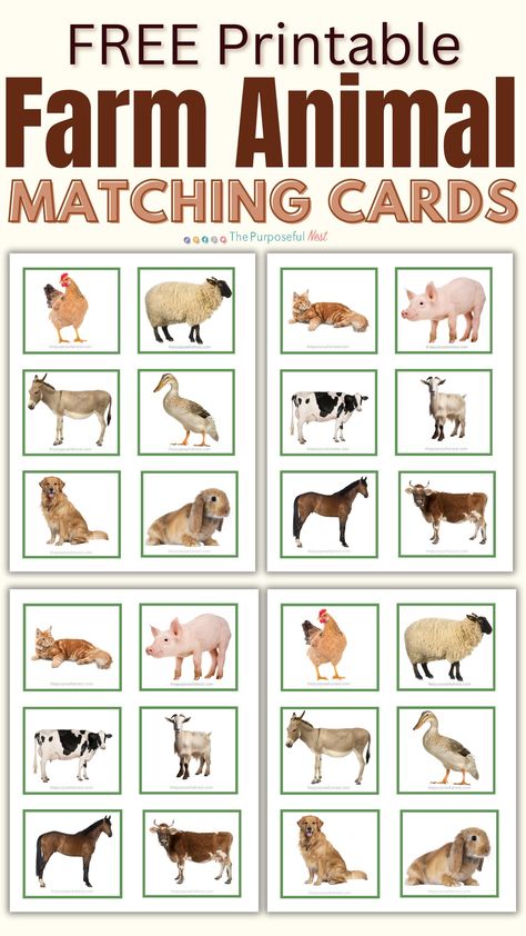 Free printable farm animal matching cards for a fun memory game with preschool children. Farm Animal Matching, Farm Kindergarten, Printable Memory Game, Farm Animals Games, Farm Activities Preschool, Animal Matching Game, Farm Animals Preschool, Farm Lessons, Farm Animals Activities