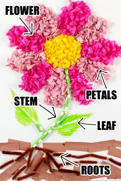 Plant Parts Craft Project and Learning Activity • Kids Activities Blog Parts Of Plant Project, Parts Of The Plant, Plant Parts, Shape Coloring Pages, Clock Craft, Plant Activities, Plant Crafts, Plant Projects, Spring Fun