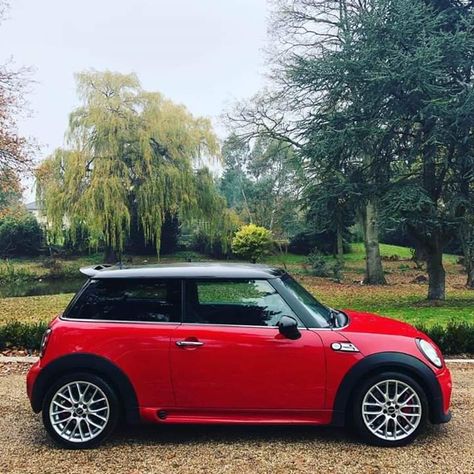 Red Mini Cooper, Mini Cooper Sport, Mini Cooper D, Mini Cooper Custom, Mini Cooper One, Mini Cabrio, Cooper Car, Car Deco, Mini Copper