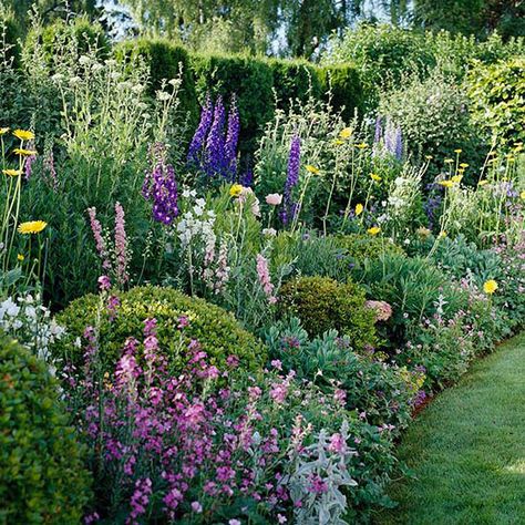 Stately delphiniums are the backbone of this colorful cottage garden plan. Cottage Garden Plan, Garden Plan, Cottage Garden Design, Formal Garden, Garden Shrubs, Cut Flower Garden, Garden Images, Beautiful Flowers Garden, Have Inspiration