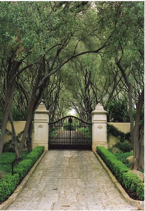 Long Gated Driveway, Stone Columns Driveway, Fancy Driveway, Luxury Driveway, Scrapbooks Ideas, Beautiful Entrance, Old Money House, Gorgeous Homes, Stone Driveway