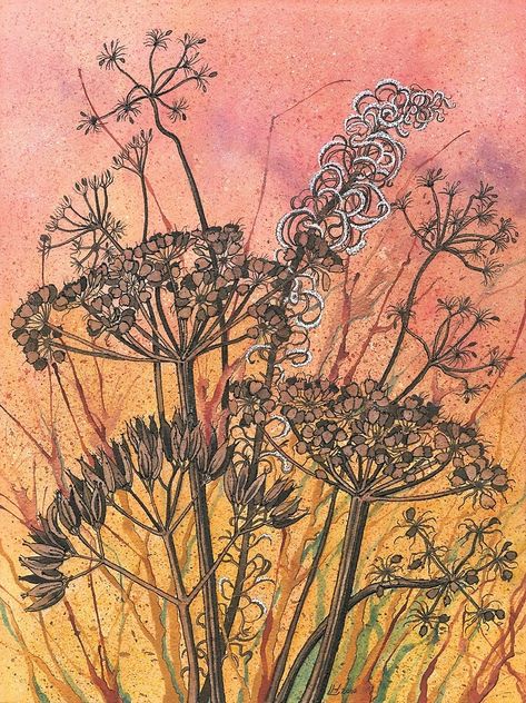 Seed Heads Art, Autumn Hedgerow, Autumn Wildflowers, Sunset Autumn, Heads Together, Soft Pastels Drawing, Cow Parsley, Decoupage Papers, Ink And Watercolour