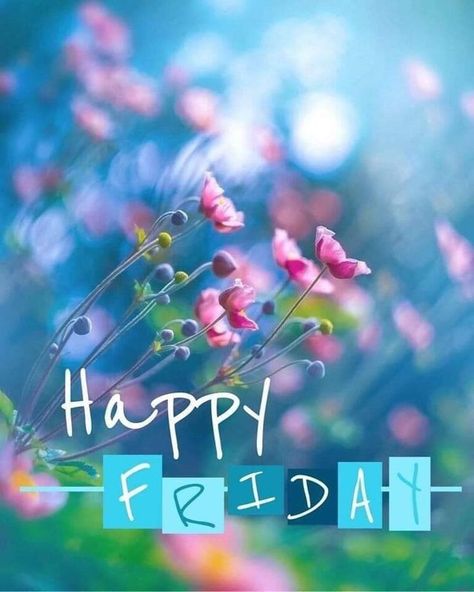 Happy Friday! Concentrate on the good things happening today! 🌞 Friday Wallpaper, Happy Friday Morning, Good Morning Nature Images, Greetings For The Day, Friday Wishes, Morning Friday, Happy Day Quotes, Good Morning Greeting Cards, Good Morning Happy Friday