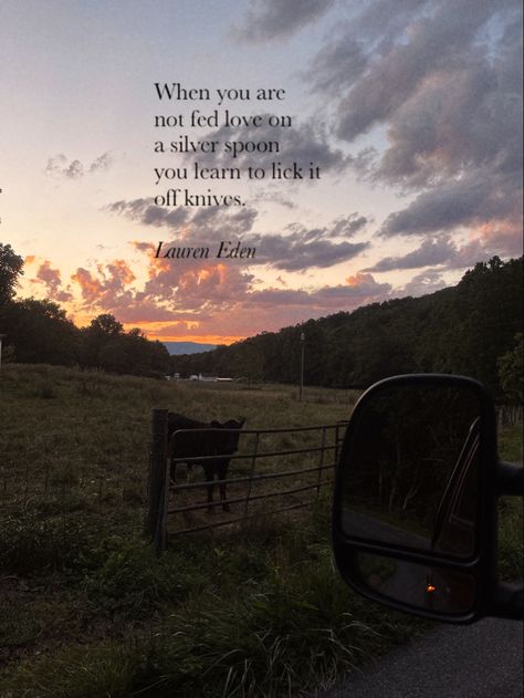 #cows #sunset #lovequote #love #quotes #learntolove Farm Quotes, Love Sunset, I Love Myself, Love Myself, Learn To Love, Self Love, Love Quotes, I Love, Quotes