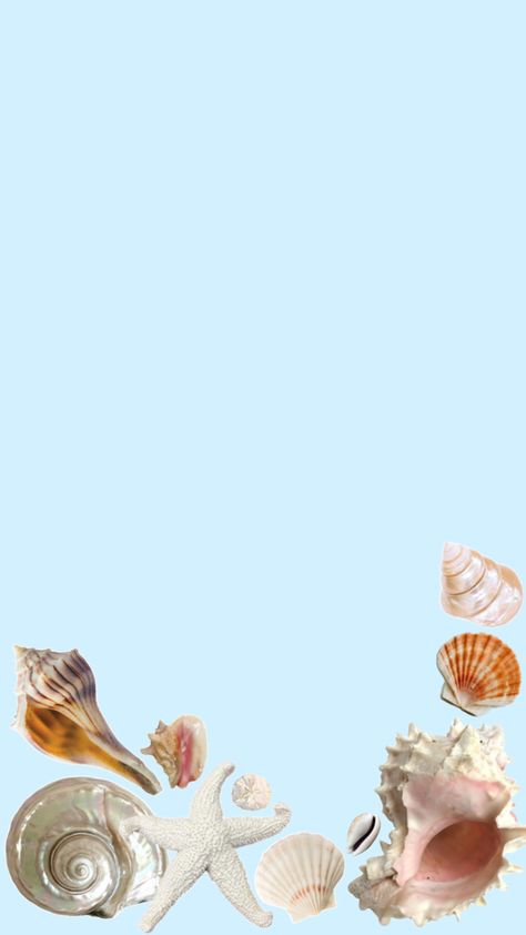 seashells summer sand dollar starfish beach wallpaper lock screen Seashell Collage, Wallpaper Lock Screen, Beach Wallpaper, Locked Wallpaper, Sand Dollar, Lock Screen, Lock Screen Wallpaper, Starfish, Sea Shells