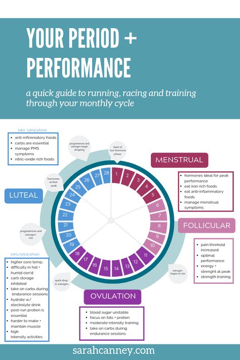 Menstrual Cycle Vitamins, Monthly Cycle Woman, Period Workout, Cycle Period, Monthly Cycle, Period Cycle, Cycle Syncing, Healthy Hormones, Moon Cycle