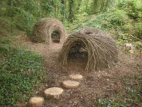 Urban Spaces Design, Bower Bird, Tiny Farm, Bird Sculptures, Outdoor Activities For Kids, Nature Play, Outdoor Playground, Yard Work, Bird Sculpture