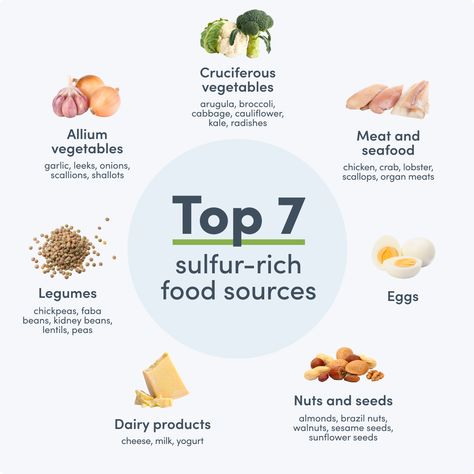 Did you know that sulfur is the third most abundant mineral in the human body? Learn more about what foods are high in sulfur and the benefits of eating sulfur-rich foods. #healthyfood #eggs #chickpeas #garlic Sulphoraphane Benefits, Sulfur Benefits, Sunflower Seed Cheese, Mineral Rich Foods, Health Notes, Collagen Benefits, Protein Rich Foods, Healthy Groceries, Dried Figs