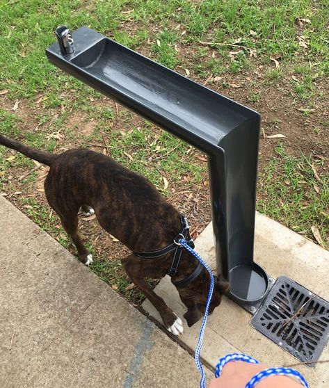 When You Take A Drink From This Bubbler, The Excess Water Flows Into A Bowl For Your Dog Dog Parks Design, Dog Park Water Station, Outdoor Dog Water Station Diy, Outdoor Dog Fountain, Diy Dog Water Fountain, Dog Water Bowl Garden, Outdoor Dog Water Station, Dog Water Bowl Ideas, Dog Park Ideas