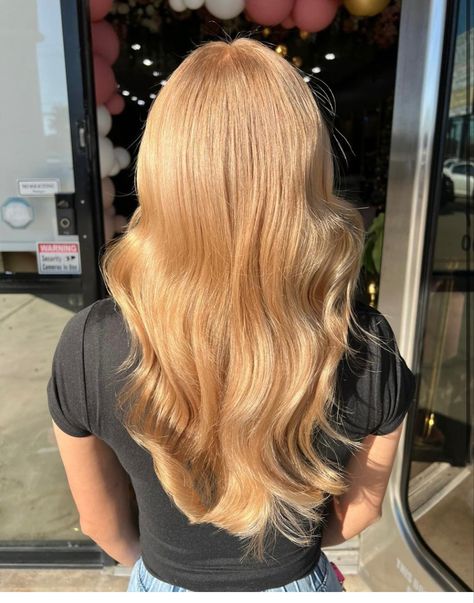 Ginger Strawberry Blonde Hair, Long Haircut Strawberry Blonde, Blond Ginger Hair, Medium Golden Blonde Hair, Hint Of Strawberry Blonde, Strawberry Blonde Blowout, Gold Hair Color, Apricot Blonde, Strawberry Beige Blonde Hair