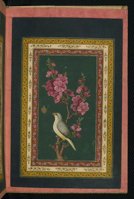 Indian Calligraphy, معرض فني, Birds Sitting, Persian Art Painting, Mughal Paintings, Persian Miniature, Persian Motifs, Iranian Art, Islamic Paintings