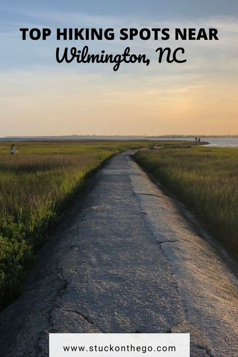 Need some hiking trails near Wilmington? It’s one of the best things to do in Wilmington, NC! Hit these Wilmington hiking trails. North Carolina Hiking, Nc Beaches, Wilmington North Carolina, Hiking Pictures, Hiking Spots, Take A Hike, Hiking Tips, Wilmington Nc, Take A Walk