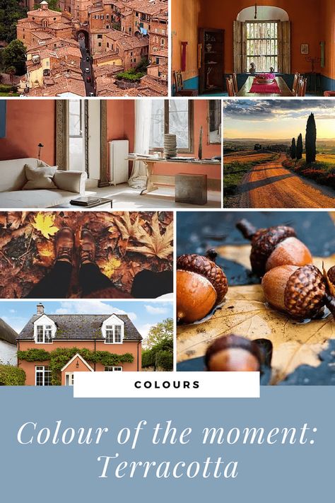 Colour of the moment - Terracotta Jewel Tone Bedroom, Urban Jungle Interior, Terracotta Walls, Terracotta Decor, Front Porch Inspiration, Copper Wallpaper, Spotted Wallpaper, Interior Tips, Trendy Plants