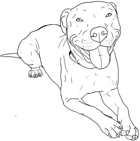 Pitbull Coloring Pages - Best Coloring Pages For Kids Pitbull Colors, Pit Bull Drawing, Pitbull Drawing, Tatoo Dog, Pitbull Tattoo, Pitbull Art, Puppy Coloring Pages, Pitt Bull, Dog Coloring Page