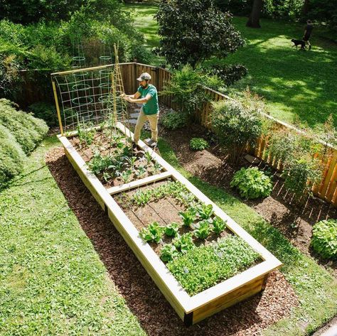 50 Raised Garden Bed DIY Ideas - Home Soils Above Ground Garden Ideas, Bed Diy Ideas, Raised Garden Bed Diy, Garden Bed Diy, Landscape Design Diy, Above Ground Garden, Bed Diy, Garden In The Woods, Garden Bed