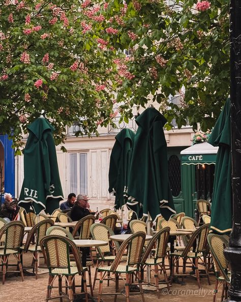 In the heart of Paris, every moment feels timeless. From the charming cafes to the stunning architecture. Here are some beautiful spots that caught my eye❤️ 📍Place Dauphine - a picturesque public square located in Ile de la Cite. A peaceful retreat in the bustling city 📍Jardin du Carrousel - Part of the larger Tuileries Garden complex. The garden features manicured lawns, beautiful sculptures, and wide gravel pathways, amidst the richness of the Louvre. 📍 Rue du Pont Neuf- a charming stree... Place Dauphine, Street In Paris, Gravel Pathway, Spring In Paris, Beautiful Sculptures, Paris Landmarks, Tuileries Garden, French Aesthetic, Seine River