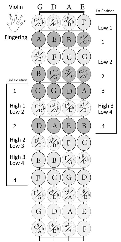 violin fingerboard with notes and finger numbers - 1st and 3rd positions print size 8 X 10 Violin Chords, Violin Fingering Chart, Violin Notes, Violin Teaching, Fiddle Music, Violin Practice, Violin Songs, Not Musik, Violin Strings