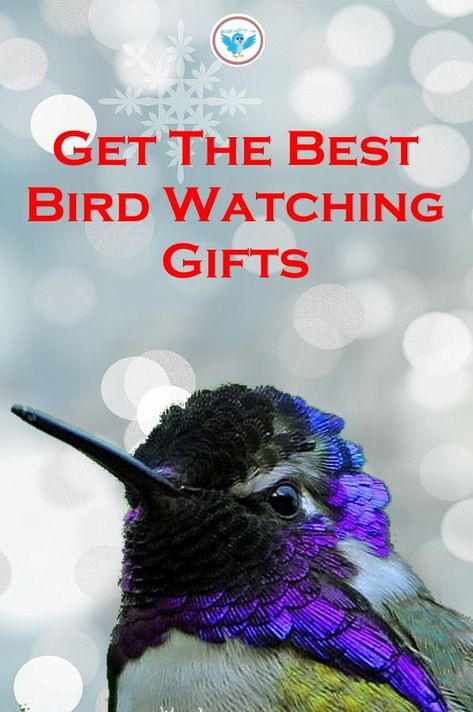 There are lots of great bird watching items to give someone for Christmas, as a gift that will be enjoyed all year. #birdwatching #birds #hummingbirdfeeders #WildBirdScoop Gifts For Bird Lovers, Bird Watching Gifts, Bird Seed Feeders, Bird Watcher Gifts, Bird Baths, Bird Watchers, Bird Watcher, Bird Gifts, Top Ideas