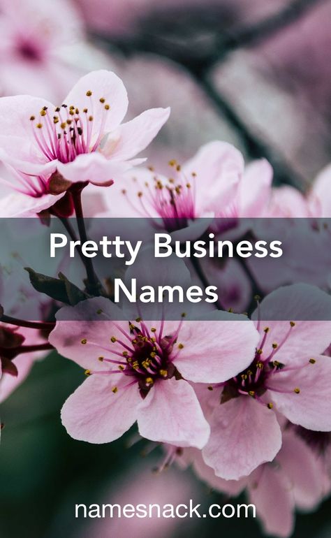 Fancy Names For Business, Creative Business Name, Cute Buissnes Names Ideas, French Salon Names, Crystal Business Names, Flower Brand Name Ideas, Pretty Business Names, Girly Business Name Ideas, French Names For Business