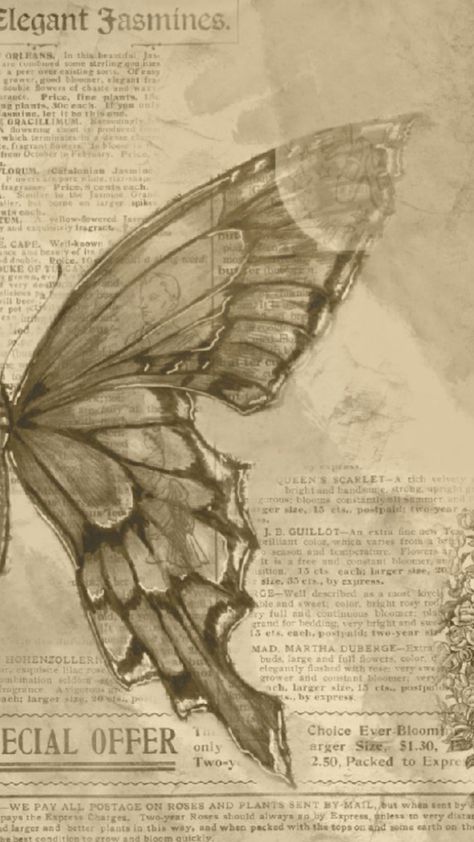 #wallpaper#newspaper#butterfly#cute Butterfly On Newspaper, Vintage Newspaper Wallpaper, Butterfly Newspaper, Newspaper Butterfly, Cute Newspaper, Art Igcse, Newspaper Aesthetic, Newspaper Wallpaper, Room Collage