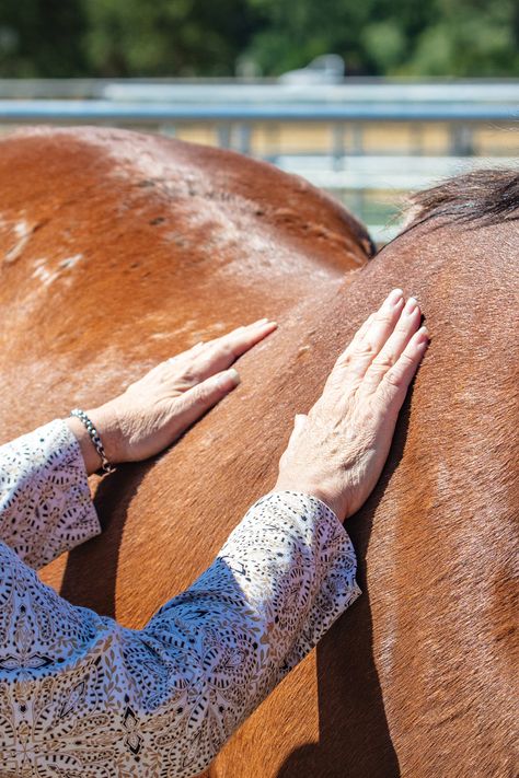 Equine-assisted therapy is helping the ever-growing number of Alzheimer’s patients and their caregivers ❤️ Innovative therapeutic horsemanship programs like Connected Horse are doing their part to help those affected by forms of dementia. In doing so, horses are making a beautiful difference in the lives of patients and their families. Read more 👇️ #horseillustrated #equinetherapy #alzheimers #alzheimerstherapy Equine Assisted Therapy, Horse Back Riding, Equine Therapy, Nonverbal Communication, Emotional Awareness, Meditation Techniques, Physical Therapist, Horse Care, Alzheimers