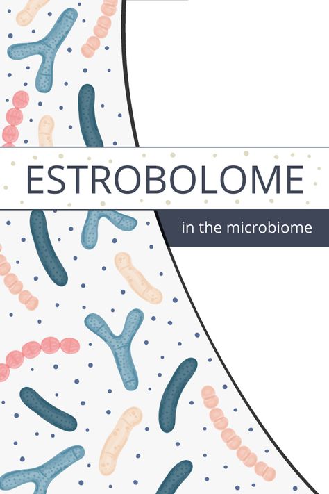 Recent research has emerged identifying specific microbes in the digestive tract that are responsible for hormone regulation—specifically estrogen. This is known as the estrobolome, which influences estrogen metabolization. Furthermore, it can result in a hormonal imbalance, leading to estrogen-influenced conditions such as endometriosis, fibroids, menorrhagia, and even PCOS. Hormone Regulation, Body Science, Low Estrogen Symptoms, Skin Moles, Too Much Estrogen, Low Estrogen, Hormonal Imbalance, Kidney Cleanse, Digestive Tract