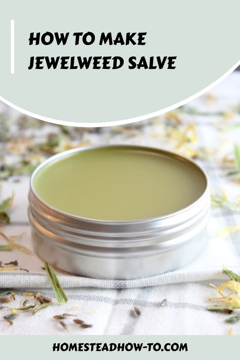 Discover a step-by-step jewelweed salve recipe to soothe skin irritations. Calm itching and promote healing with this homemade natural remedy. Jewelweed Salve Recipe, Jewelweed Salve, Salve Recipes, Insect Bites, Homemade Remedies, Natural Scents, Vitamin E Oil, Natural Remedy, Food Preservation