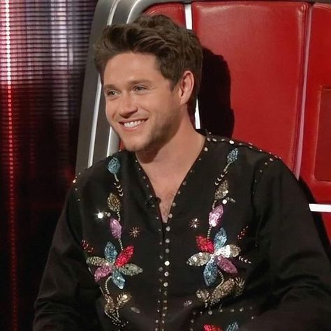 Niall Horan The Voice, Niall Horan 1d, Niall Horan Baby, Irish Accent, Voice Coach, Hello Lover, Singer Dr, Irish Princess, Irish Boys