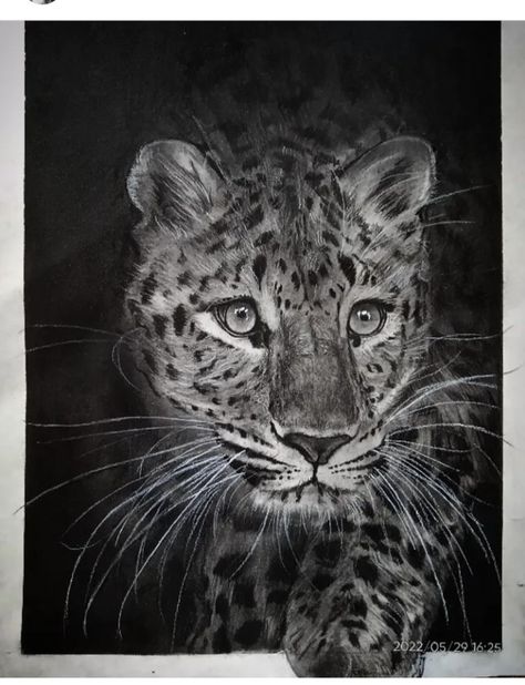 This is realistic portrait of 3d leopard, done with charcoal pencils Leopard Drawing, Charcoal Artwork, Old Man Portrait, Realistic Portrait, Animal Drawings Sketches, Charcoal Portraits, Charcoal Drawings, Charcoal Sketch, Charcoal Art