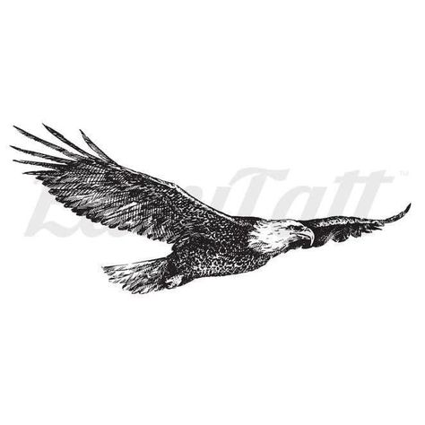 Flying Eagle Tattoo Design, Eagle Flying Tattoo, Soaring Eagle Tattoo, Eagle Tattoo For Women Feminine, Flying Eagle Tattoo, Eagle Tattoo Designs, Eagle Wing Tattoos, Fly Fishing Tattoo, Berg Tattoo