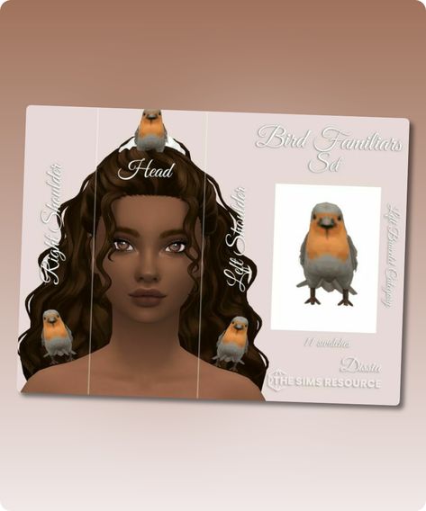 Sims 4 Accessory CC: Bird Familiar SET By Dissia Sims 4 Familiar Cc, Bird Familiar, Sims4cc Accessories, Sims 4 Cc Download, Bird Accessories, Grunge Accessories, Model Nails, Best Sims, Mens Braids