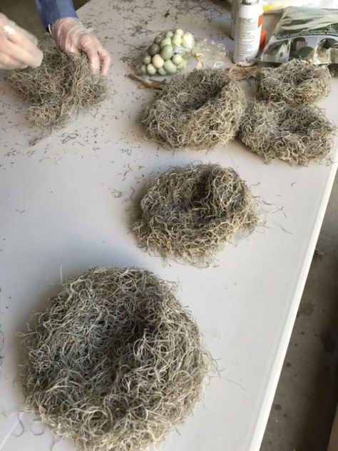 Bird Nest Decor Ideas, Spanish Moss Ideas, Spring Branches Decor, Diy Birds Nest, Vintage Spring Decor, Nest Craft, Craft Spring, Bird Nest Craft, Vintage Easter Decorations