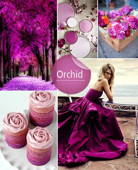 Wedding Colors Ideas, Wedding Colors Spring, Raspberry Wedding, Spring Wedding Color Palette, Tropical Glam, Wedding Colors Purple, Colorful Bohemian, Orchid Wedding, Spring Wedding Colors