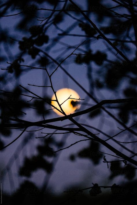 Full Moon Rising Over Country Paddocl Full Moon Rising, Paolo Roversi, Moon Rising, Vogue Germany, Moon Rise, Fashion Shows, Book Aesthetic, All About Eyes, Full Moon