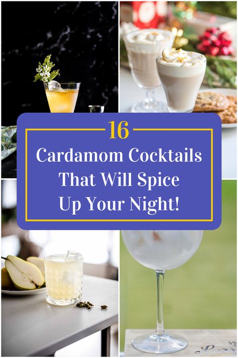 Collage of 4 cardamom cocktails. Cardamom Bitters Cocktail, Cardamom Drink Recipes, Cardamom Drink, Cardamom Cocktail, Bitters Cocktail Recipes, Cardamom Recipe, Gimlet Recipe, Spiced Cocktail, Spicy Drinks