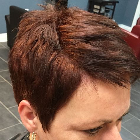 Auburn Pixie Cut. By Jocelyn Moore Auburn Pixie, Brown Pixie, Brown Pixie Cut, Hair Studio, Reddish Brown, Pixie Cut, Auburn, Hair Ideas, Short Hair