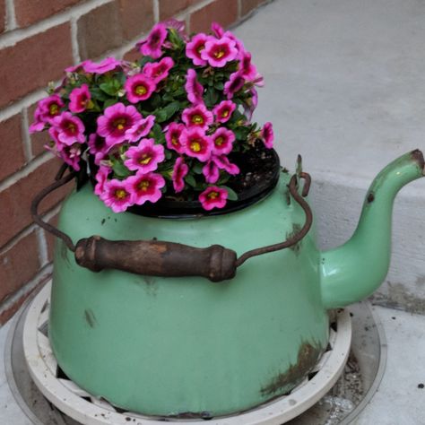 Old Tea Pots Ideas Plants, Tea Pot Planter Ideas, Tea Pot Garden Decor, Tea Pot Planter, Antique Garden Decor, Old Tea Pots, Old Pots, Garden Junk, Garden Containers