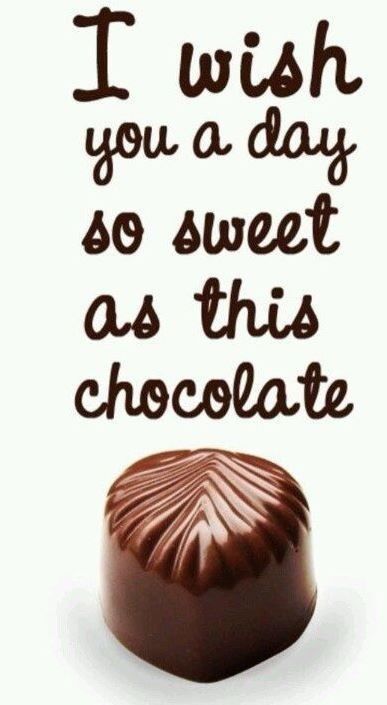 Funny Chocolate Quotes, Chocolate Lovers Quotes, Images Of Chocolate, Chocolate Quotes, Chocolate Humor, Baking Quotes, Candy Quotes, Decadent Chocolate Desserts, Chocolate Dreams